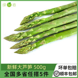新鲜大芦笋500g 农家现摘新鲜蔬菜绿芦笋沙拉菜青芦笋青笋龙须菜