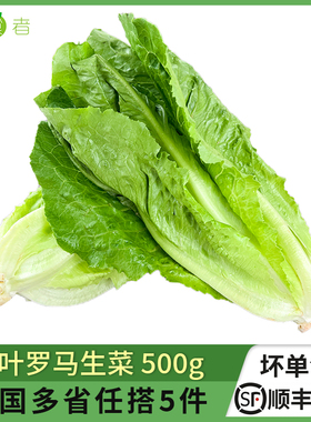 绿食者 散叶罗马生菜500g 罗纹凯撒生菜新鲜蔬菜西餐沙拉食材配菜
