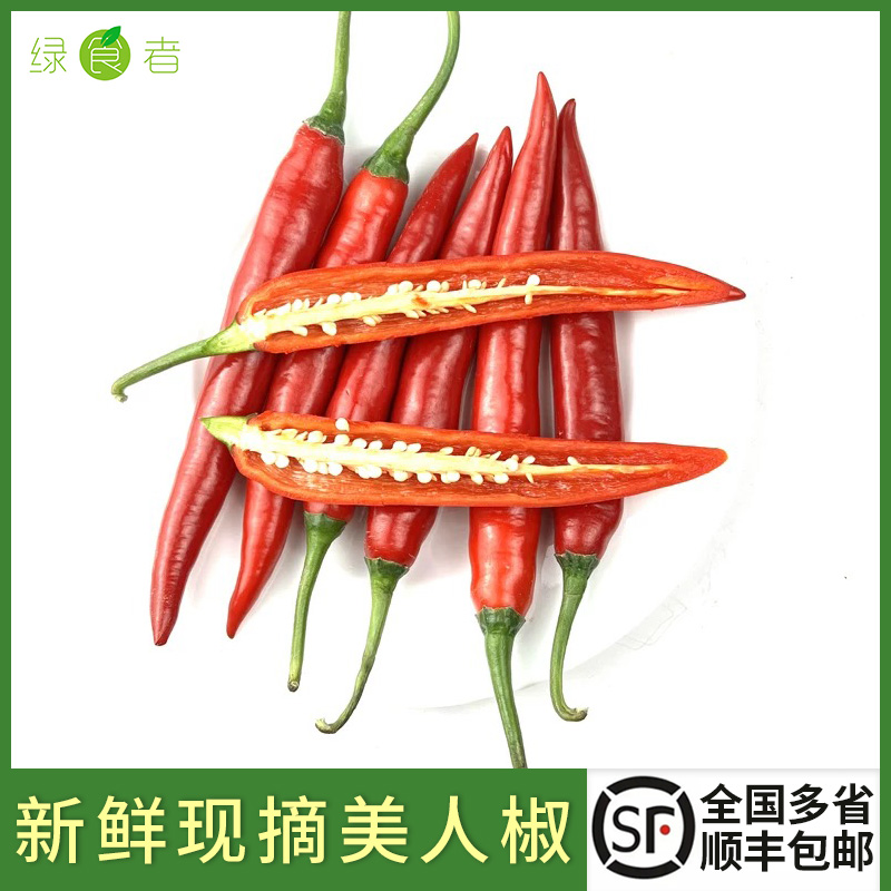 新鲜美人椒红辣椒线农家蔬菜