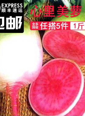 新鲜心里美萝卜500g 胭脂红水果萝卜生吃脆甜泡菜萝卜红心萝卜