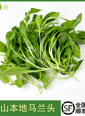 新鲜马兰头 鸡儿肠 上海农家绿色蔬菜马兰头凉拌食材 顺丰包邮