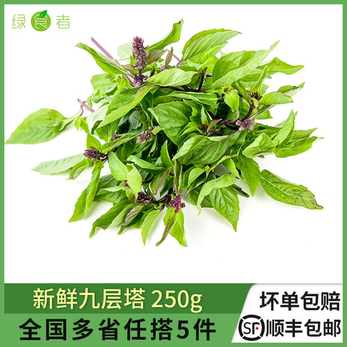 新鲜九层塔三杯鸡冬阴功材料