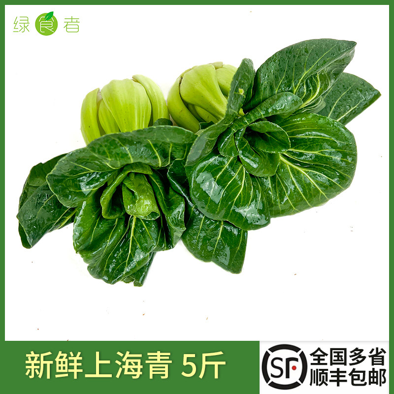 上海霜打小青菜5斤 新鲜蔬菜农家自种小青菜,水产肉类/新鲜蔬果/熟食,其它,淘宝优惠券,粉丝福利购,淘宝优惠卷