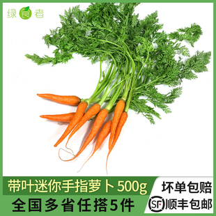 新鲜蔬菜迷你水果胡萝卜色拉沙拉食材 绿食者 带叶手指胡萝卜500g