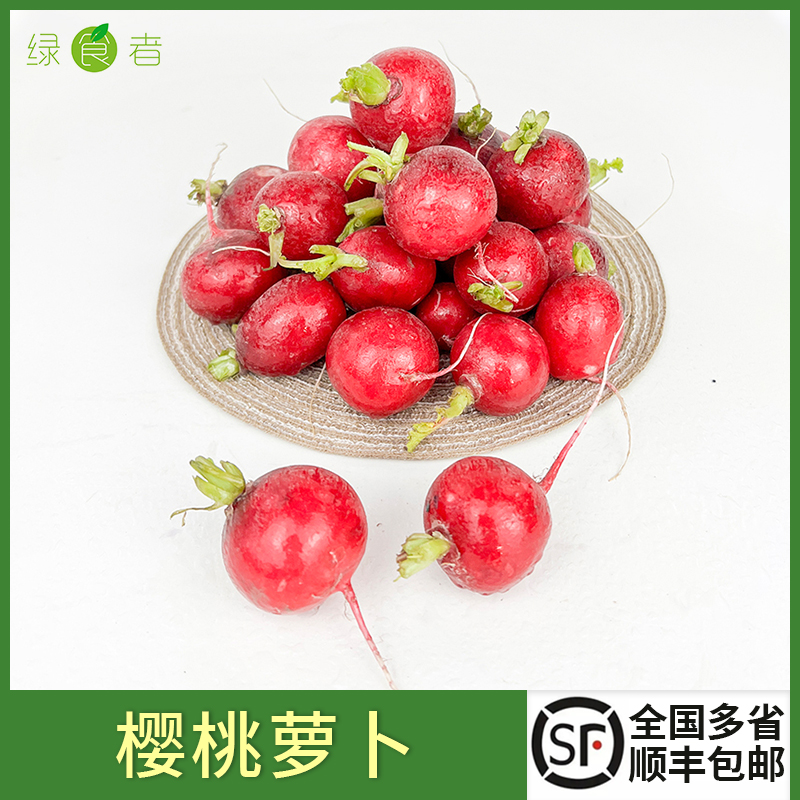 新鲜樱桃萝卜生吃蔬菜沙拉食材