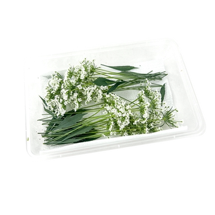新鲜蕾丝花1盒酒店西餐摆盘装饰日料冷菜点缀蛋糕装饰材料雪珠花