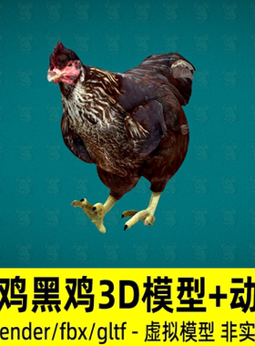 blender母鸡模型写实动物家禽黑色老母鸡3d模型4K贴图骨骼动画fbx