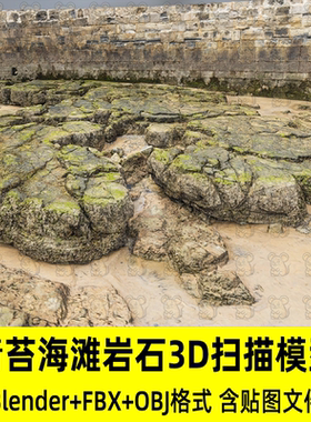 c4d blender写实潮间带的岩石海岸景观3D扫描模型fbx/obj/3dmax