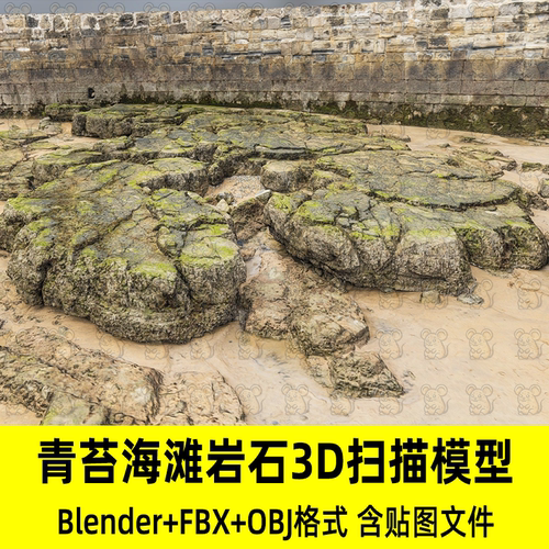 c4d blender写实潮间带的岩石海岸景观3D扫描模型fbx/obj/3dmax