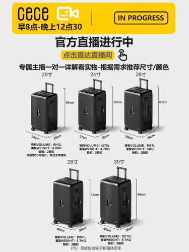 Прочный вместительный и большой чемодан, 30 дюймов