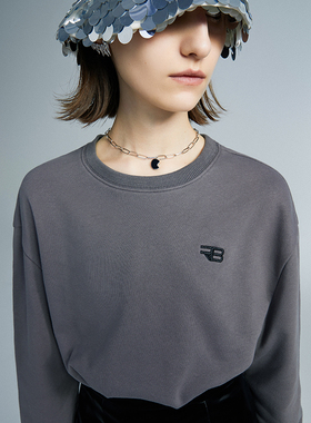 RAY BURST GRAY 刺绣标抽绳灰色短款卫衣上衣