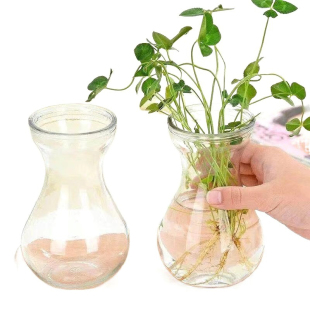 风信子器皿玻璃摆件办公室花瓶客厅透明装 饰简约花瓶桌面水培绿萝