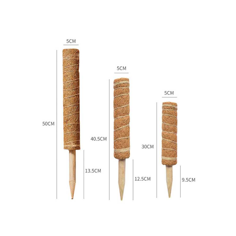 新款直销植物藤蔓牵引攀爬柱天然椰棕棒30cm/40cm/50cm可自由组合