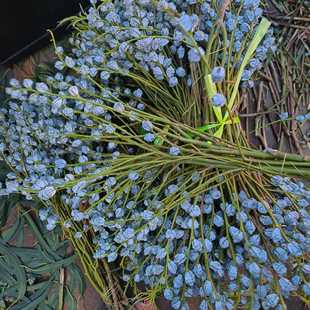 新款 直销自然风干尤加利果桉树果森系天然干花真花干枝桉树果家居