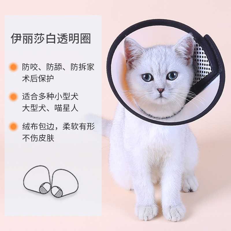 新款直销跨境宠物用品 伊丽莎白圈 狗狗项圈防水猫头套 软宠物脖