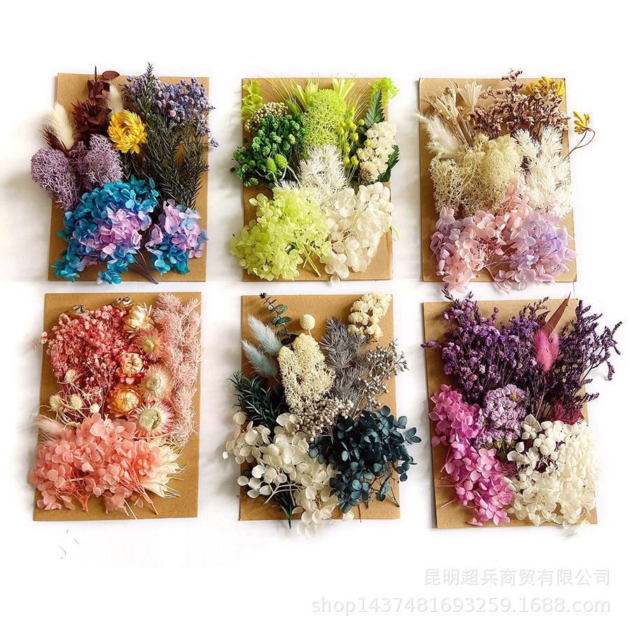 花柬永生花干花材料包diy相框团扇蜡烛香薰滴胶花袋装天然材料包