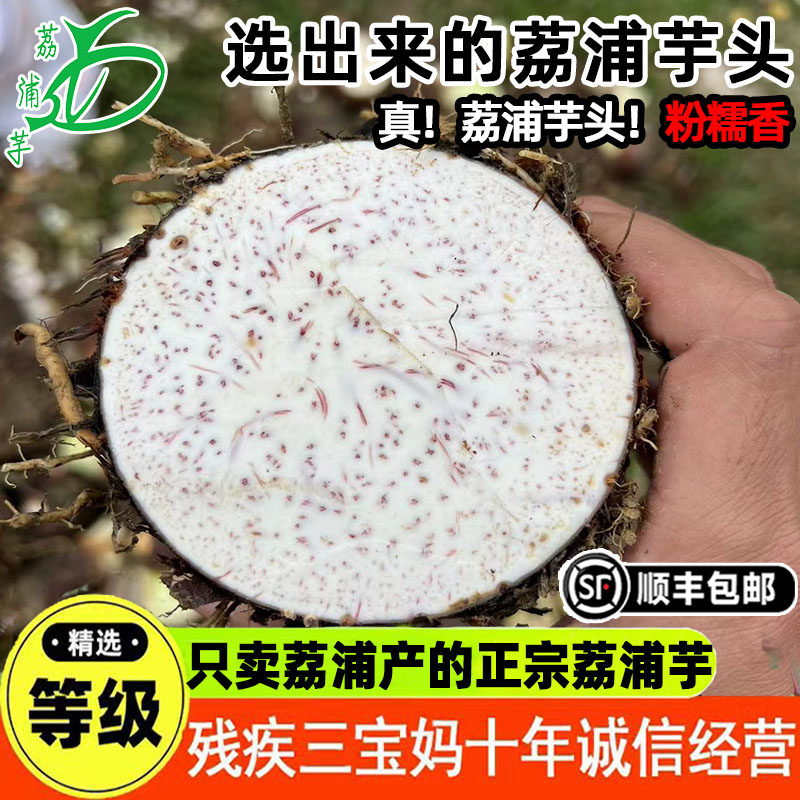 正宗广西荔浦芋头新鲜槟榔香芋毛芋农家生鲜时令蔬菜粉糯产地直发