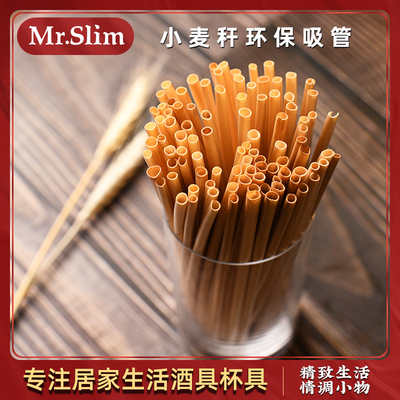 MrSlim 天然可降解麦秆吸管麦子麦秸杆吸管鸡尾酒吸管饮料吸管