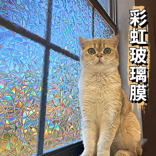彩虹玻璃窗防窥膜贴纸透光不透人