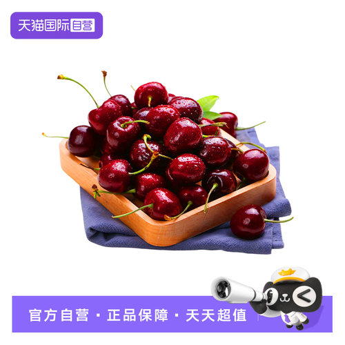 智利进口红车厘子5斤礼盒装