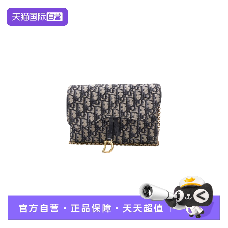 Dior蓝色帆布SaddleWOC