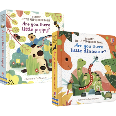 幼儿早教启蒙洞洞书英语读物