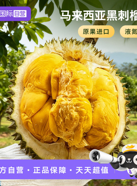 【自营】马来西亚进口D200黑刺榴莲整果液氮冷冻水果自然树熟包邮