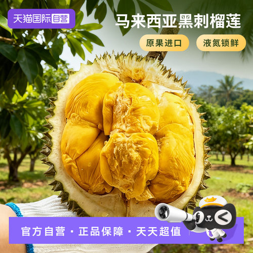 马来西亚黑刺榴莲D200保5房