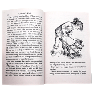 【自营】夏洛的网英语原版小说 杀死一只知更鸟 哈利波特 harry potter 奇迹男孩别有洞天holes怦然心动flipped小妇人追风筝的人