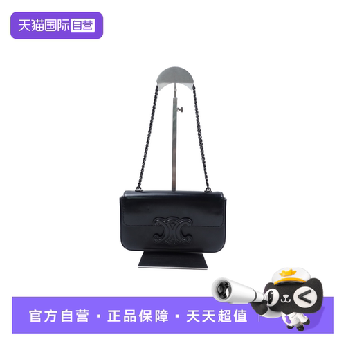 CELINE瑟琳凯旋门腋下包