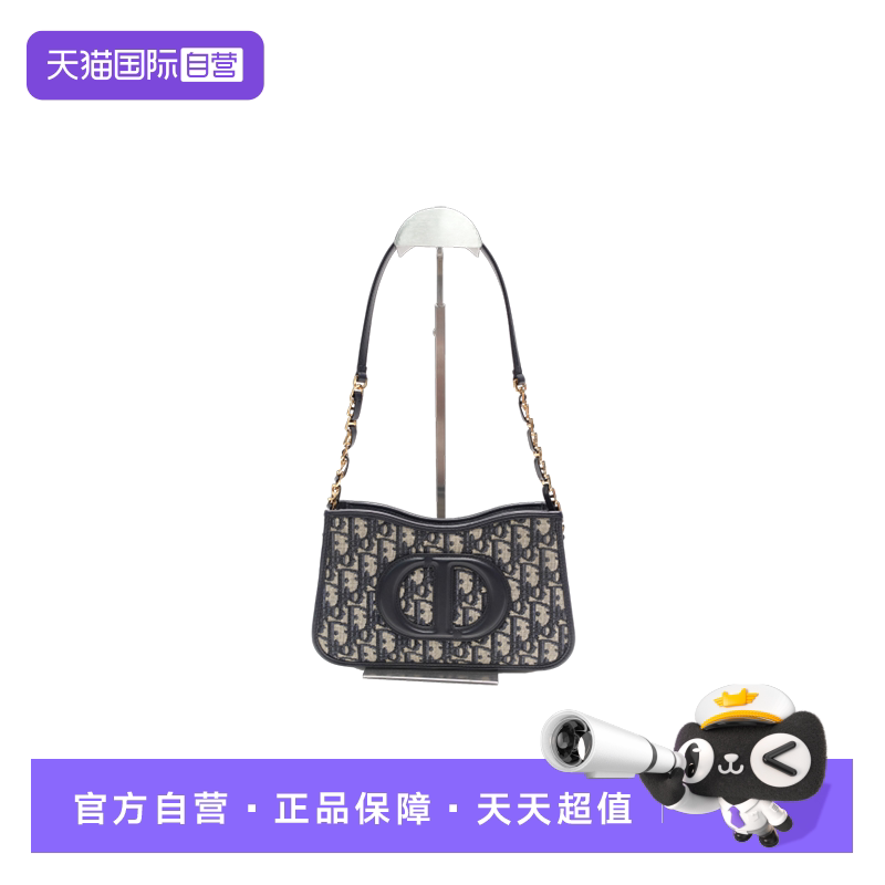 Dior蓝色帆布斜挎包手提包图片