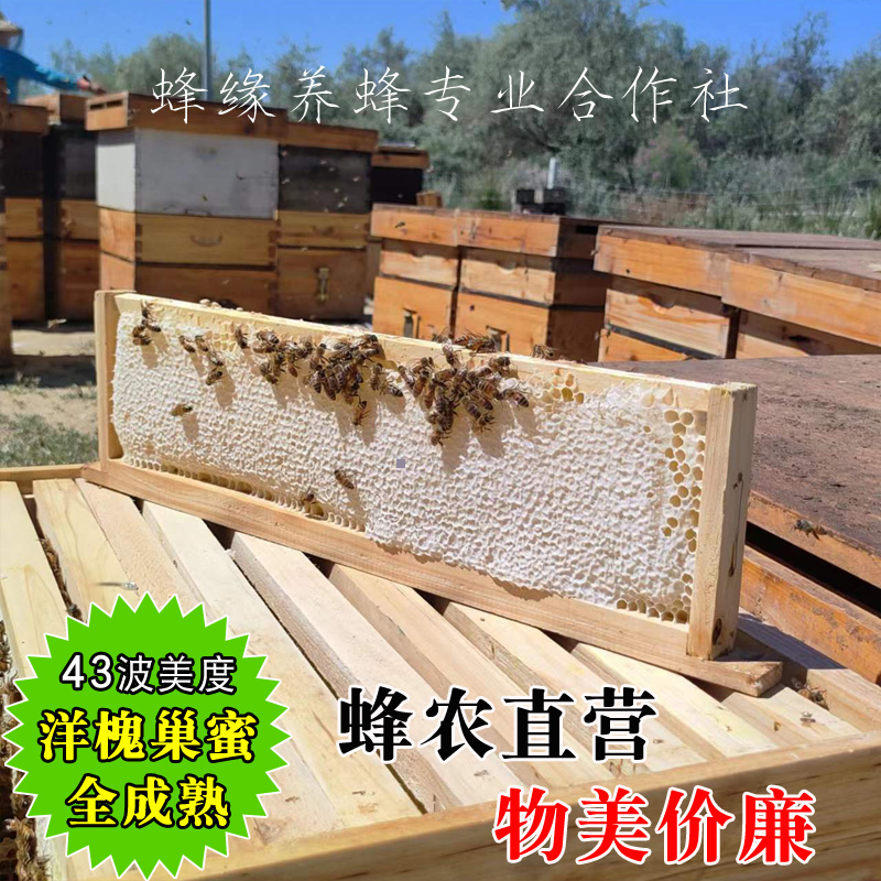 新鲜槐花蜂蜜农家自产天然成熟洋槐巢蜜嚼着吃纯蜂巢蜜盒装