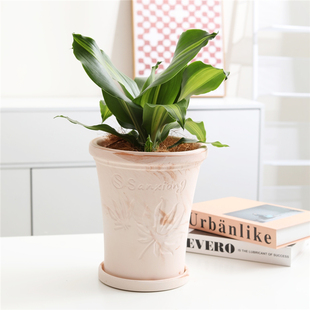 玛奇朵天然渐变白陶土盆北欧ins透气素烧大口径客厅落地绿植花盆