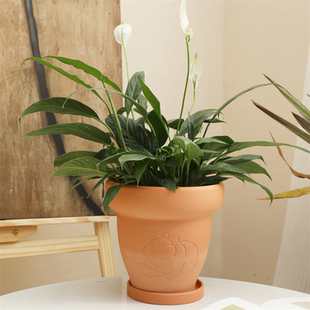 复古厚边圆肚透气红陶花盆客厅阳台庭院吊兰三角梅绿植物陶土盆