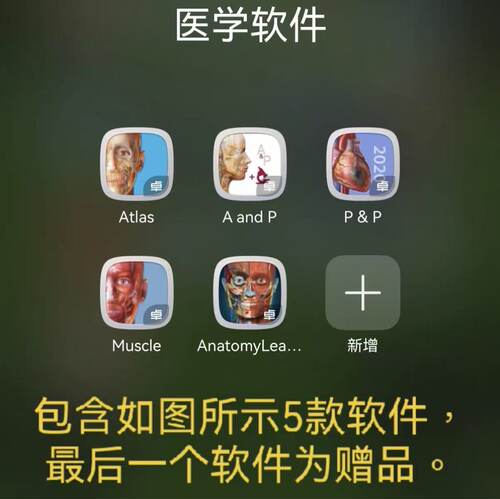 2026 Visible Body 解剖学四件套最新版 附赠anatomylearning