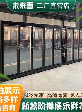 大容量阶梯展示鲜花保鲜柜