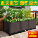 果树花箱种植箱特大清仓户外楼顶种菜专用箱阳台菜盆泡沫大花盆