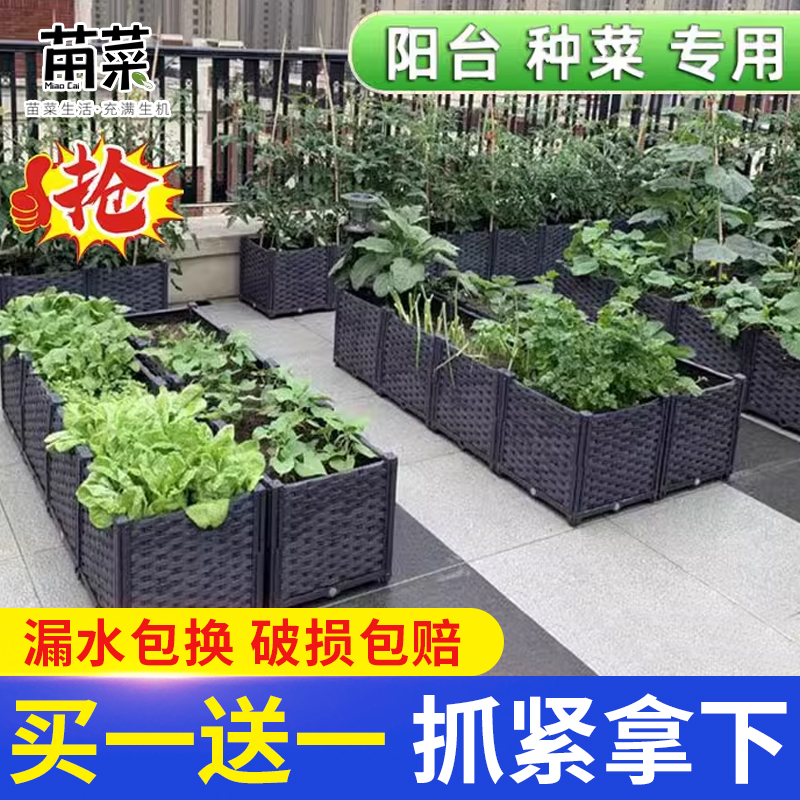苗菜种菜专用箱新客立减