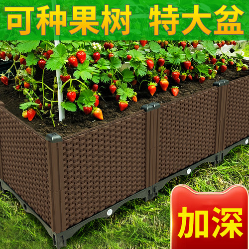 蔬菜种植楼顶阳台种菜神器