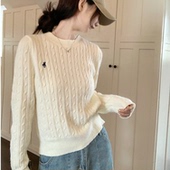 绣花洋气显瘦针织上衣 2025新款 麻花毛衣圆领打底衫 女内搭秋冬厚款