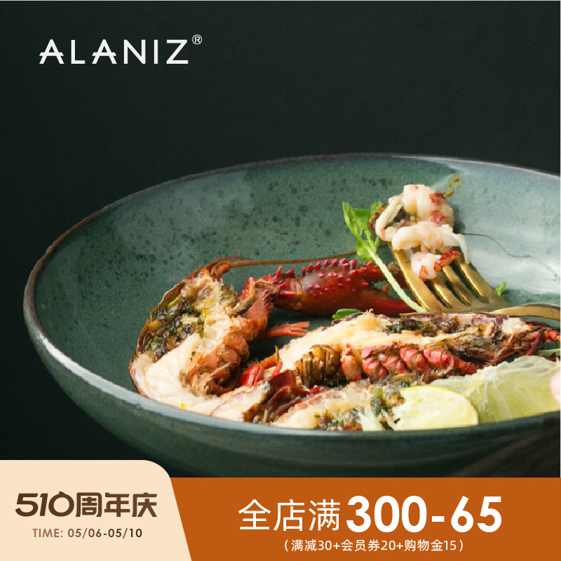 alaniz水之生灵北欧浅口盆汤碗