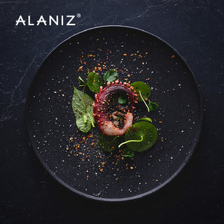 alaniz 流沙盘子牛排盘西餐盘家用黑色磨砂平盘西餐餐盘创意菜盘