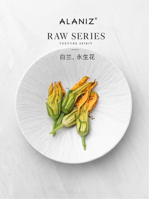 alaniz南兹白兰盘子商用餐盘家用餐厅摆盘餐具菜盘深盘陶瓷餐盘