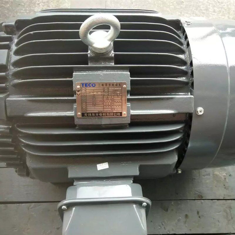 无锡东元电机TECO三相异步电动机TEGH-4 25HP 18.O5KW 4P AEEFF3