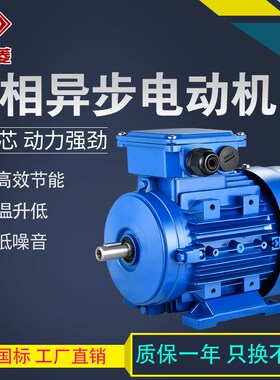 三相电机 厂家供应YS1q00L-4 2.2KW 铝壳电动机/电机全铜国标