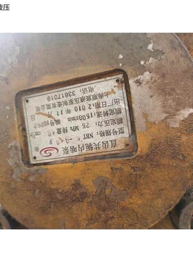 NBT4-G25F NBT4-G32F NBT5-GG40F 代替上海顺宸液压 内啮合齿轮泵