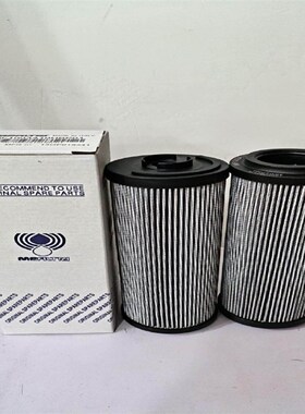 INTERNORMEN英德诺曼滤芯302453 04.852070.100G 31T5203 306340