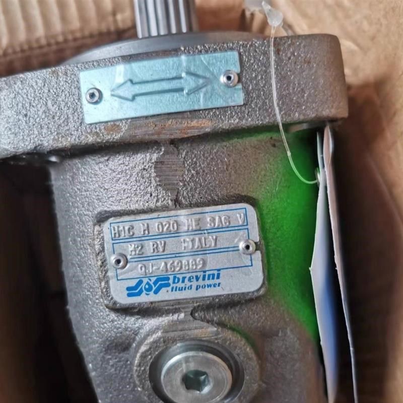 布雷维尼H1C02y0马达 液压油泵柱塞泵,标准件/零部件/工业耗材,液压泵,淘宝优惠券,粉丝福利购,淘宝优惠卷