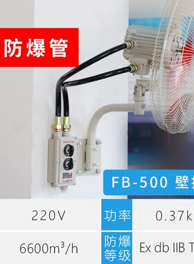 新款防爆摇头扇FB/BTSp-500落地式600壁式750工业电风扇220V牛现