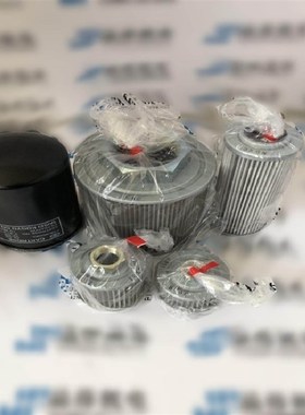 INTERNORMEN英德诺曼滤芯300690 303I316 01NL63/40G30EP